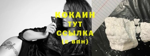 прущий лед Алексин